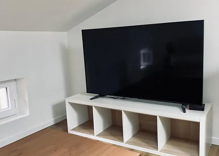 L'echappee Belle D'albi Albi